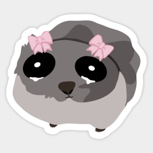 Sad Hamster Sticker